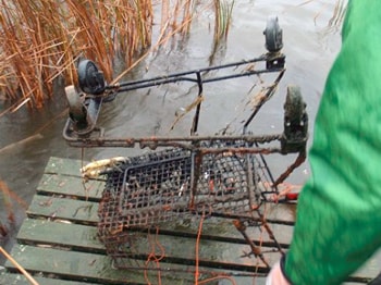 Fund beim Magnetfischen