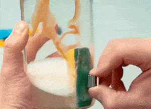 Dank der enormen Kraft der Neodym-Magnete können Sie die Flasche auch von innen gründlich schrubben